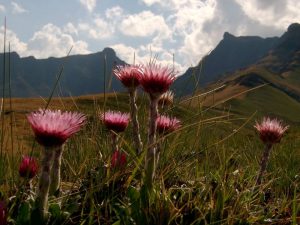 Mountains, Drakensberg, Hiking